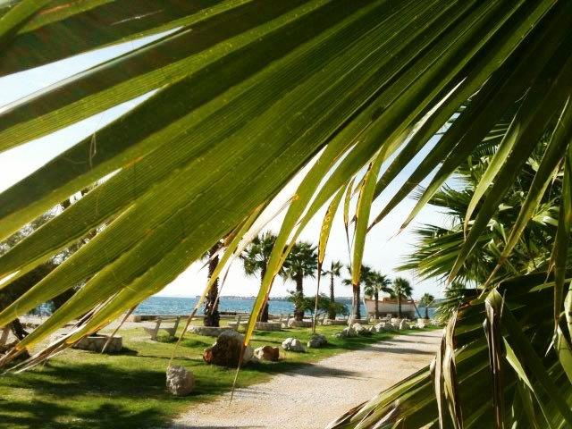 Deby Beach House Vir Eksteriør billede